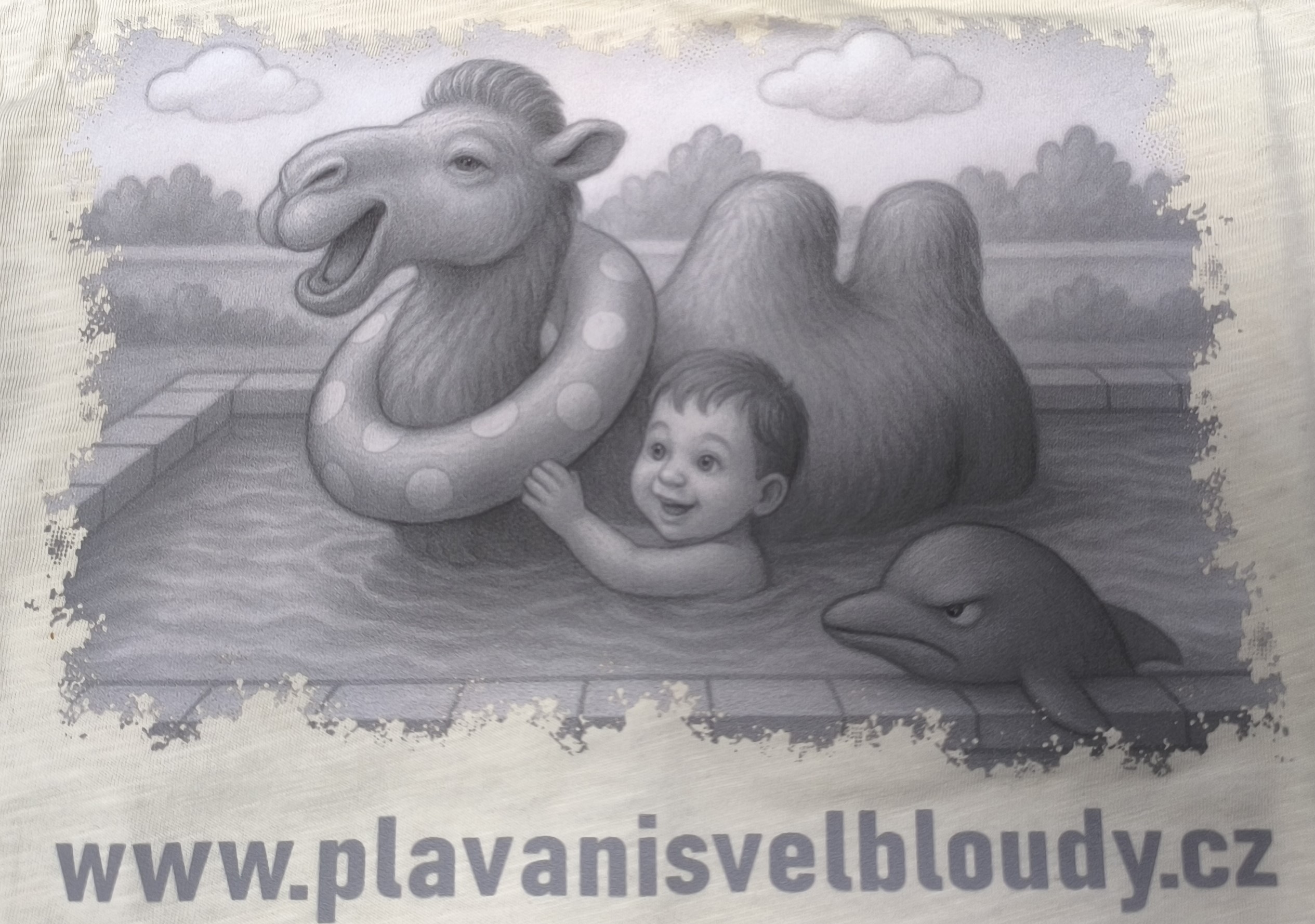 plavání s velbloudy